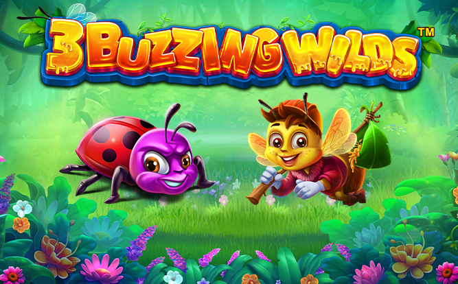 3 Buzzing Wilds: guía y cómo funciona